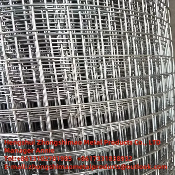 Galvanized Wire Mesh  photo-4