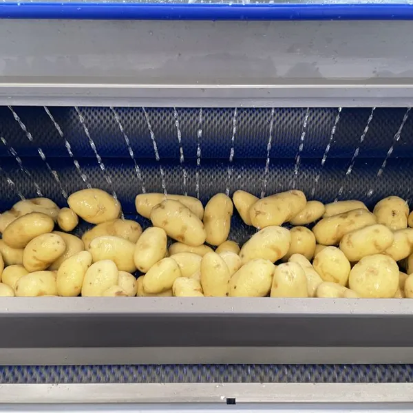 Industrial Vegetable Multi Function Brush Roller Electric Washing Equipment Cassava Ginger Washer Potato Peeling Machine photo-5