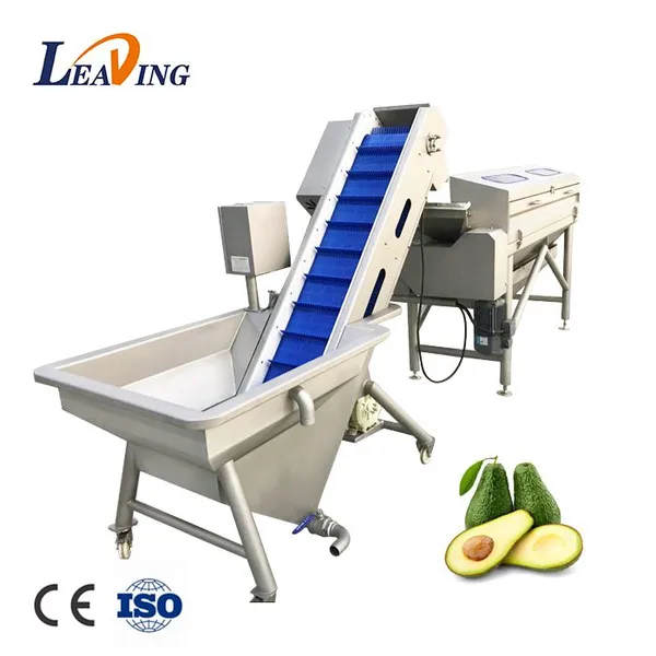 Bubble Machine Clean Automatic Fruit and Vegetable Bubble Washing Machine  Fruit Washing Machine