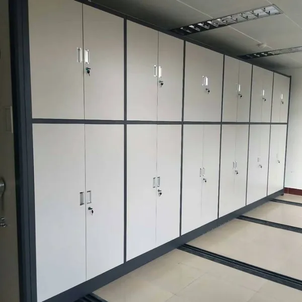 Dense Filing Cabinets, Customized for Archives Bureaus, Wanglaili Wll - 4, Free Nationwide Delivery, Local After - Sales Service