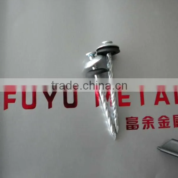 High Quality Twisted Nails in China photo-4