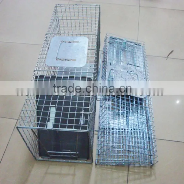 Collapsible Live Animal Hunting Trap photo-2