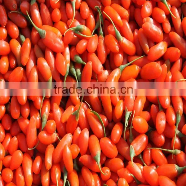 Ningxia Bulk Goji Berries Wholesaler photo-3