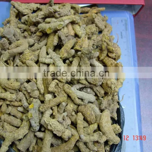 Turmeri Shan un Polished Yellow