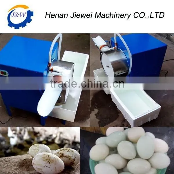 egg machine|egg processing machine