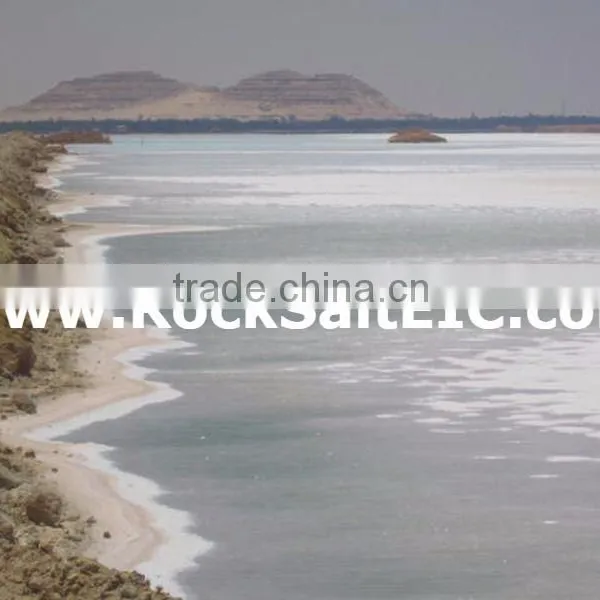 Bulk Rock Salt 98-99% NACL (EGYPT Origin - White Color - Low Moisture - no Impurities - Sgs Certificate) photo-5