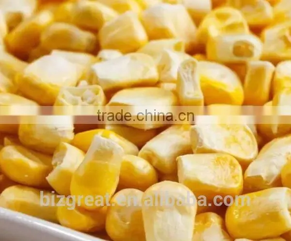 Chinese Healthy Snack Frozen Dried FD Dried Vegetables-FD Shallot Cut photo-5