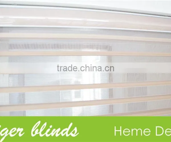 Double Layers Good Quality Living Room Zebra Blinds
