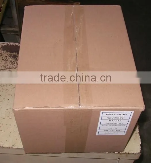 Factory Supply Box Packing DIN571 Hex Head Coachscrew Cr3 Zinc Plated photo-4