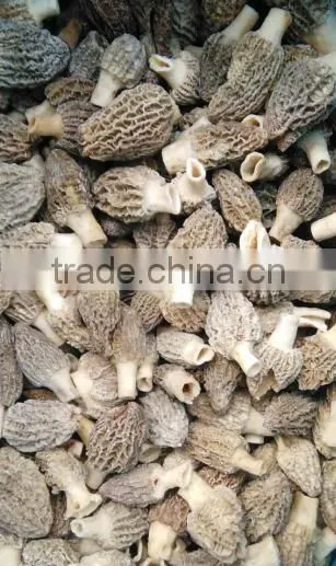 High Quality Frozen Wild Morels(morchella Conica) photo-2