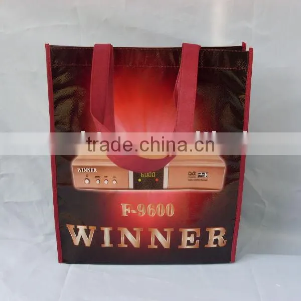 2013 Eco Friendly Bag