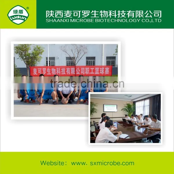 Fungicide Manufacturer Technicals 60% Validamycin photo-6