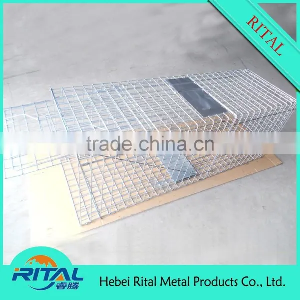 Galvanized Coon Live Cage Trap for Trapping Coon photo-5