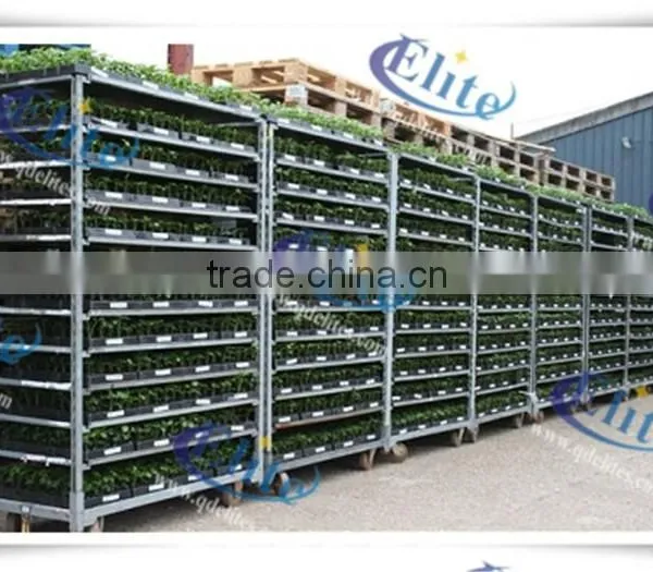 124 Seedling the Flower and Pot Plant Trolley , Seedling Pool Rack, Seedling Pot Plant Trolley photo-6