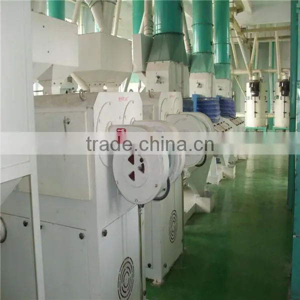 European Standard 100tpd Maize Miller for Maize Grits and Flour photo-5