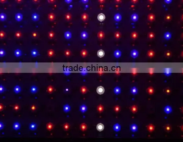 High Quality Greenhouse Cheap 600w Led Grow Lights for Sale photo-5