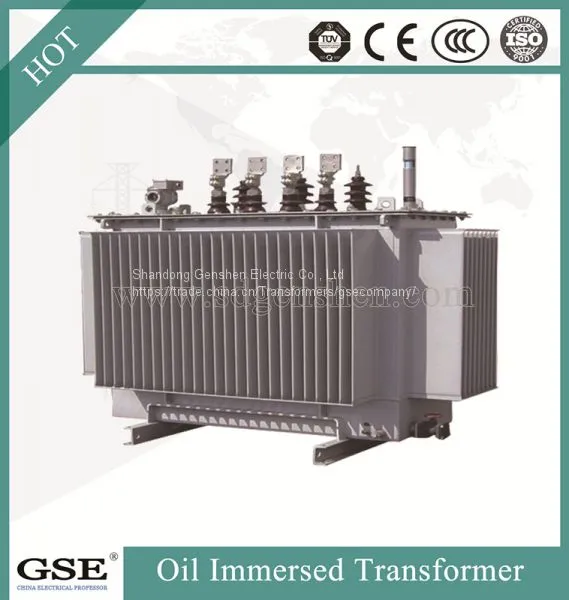 Power Transformer/Oil Immersed Power Distribution Transformer/800kVA Transformer photo-5