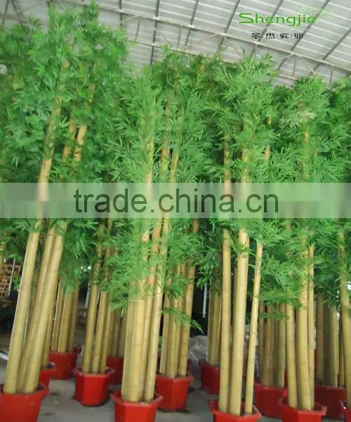 SJ Plastic Realistic Artificial/leek Arrangement of Bamboo With Leaves,bamboo Poles photo-6
