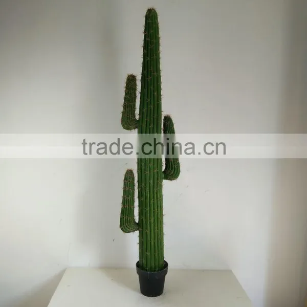 SJ3001009 High Imitation Cactus Plant/indoor Decoration Cactus Plant photo-5