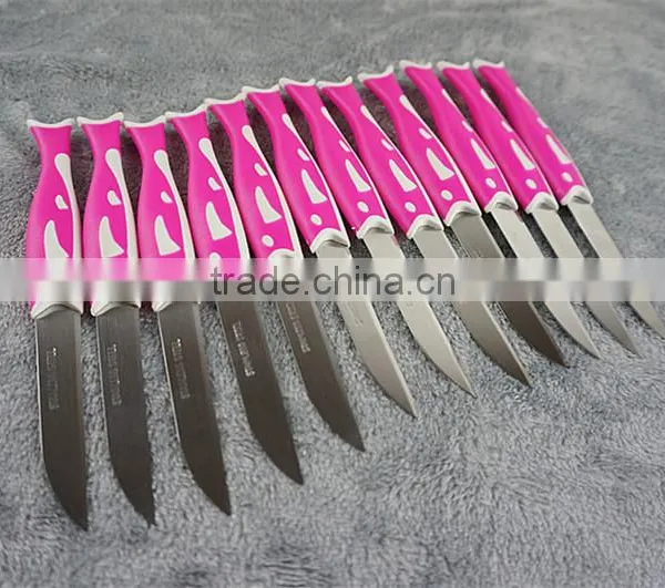 51010 12PCS STAINLESS STEEL Fruit Knife Set photo-2