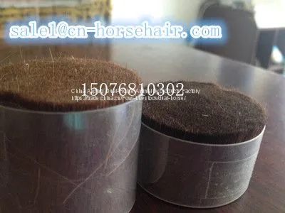 Horse Hair photo-2