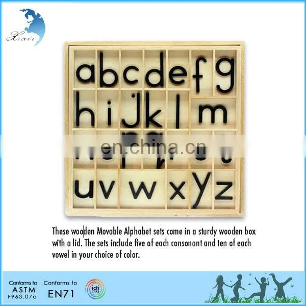 World Famous Chinese Montessori Educational Materials Various Type and Creative Design Child Toys photo-2