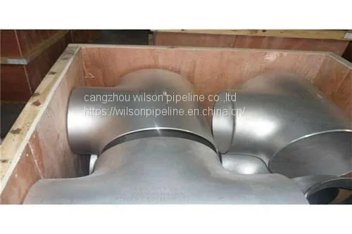 Ss304 Ss316l 304 Elbow/flange/tee/reducer/ Stainless Steel Pipe Fitting