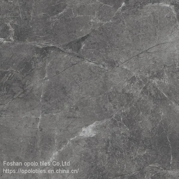 Fullbody Tiles / Glazed Tiles 800X800