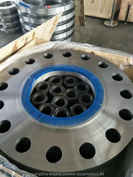 ASME B16.5 Steel Flange photo-3