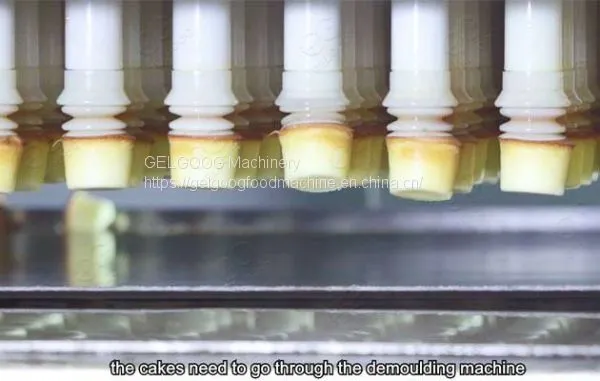 Industrial Cake Production Line Manufacturer photo-3