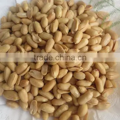 Fried Peanut
