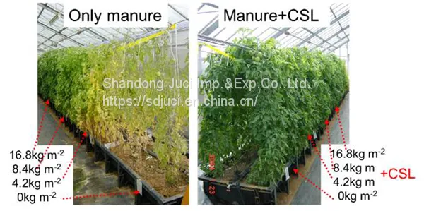 Organic Water Soluble Fertilizer Corn Steep Liquor Powder for Liquid Organic Fertilizer Corn Steep Powder photo-3