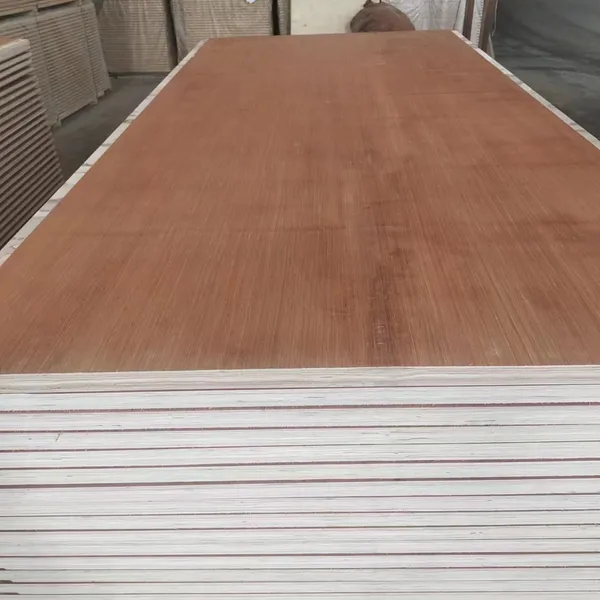 21ply Shipping Container Flooring Plywood Marine Container Spare Parts photo-3