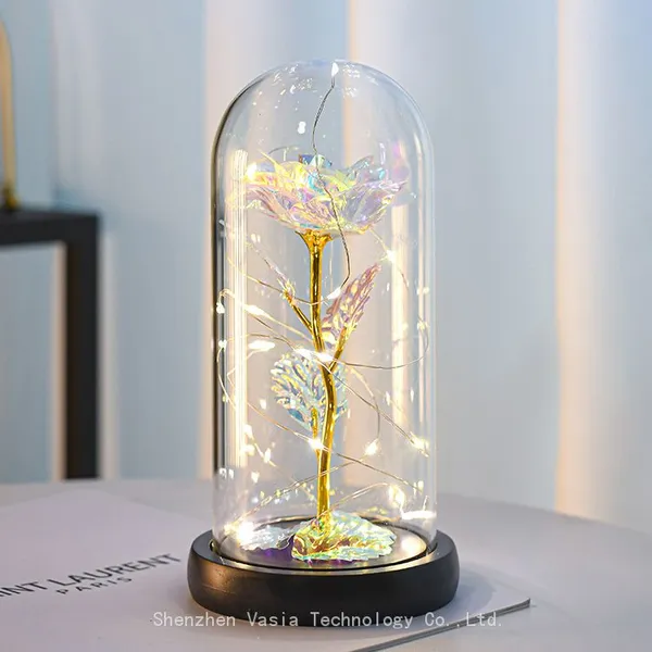 Mother's Valentine's Day Plastic Eternal Galaxy Rose in Glass Dome With LED Lights Wholesale Gift photo-5