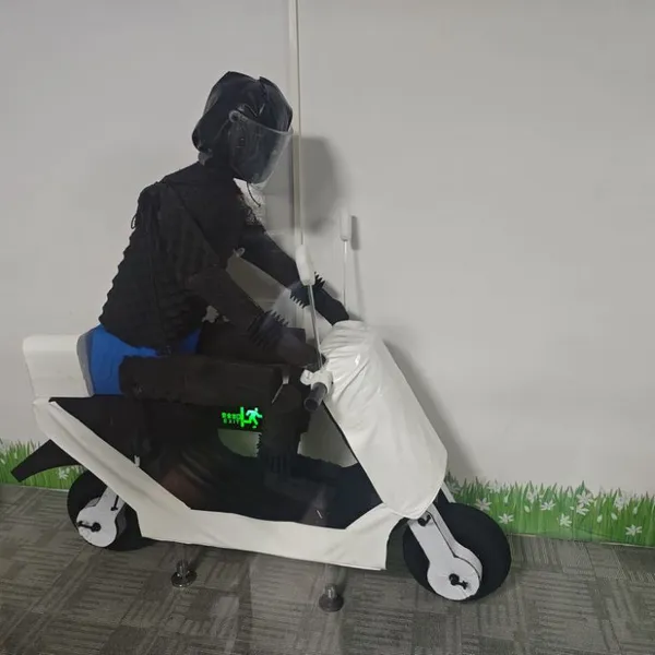 BYD Fake Human and Fake Car Experimental Model Production Factory photo-5