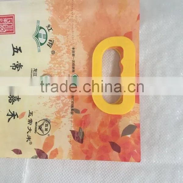 Agriculture Packaging for 5kg Rice With Plastic Handle photo-6