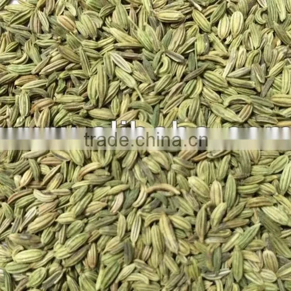 Fennel Seeds