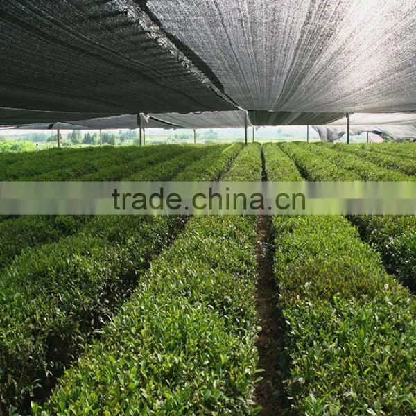 HDPE 100% Virgin Green Net for Construction Use Vegetable Garden Netting photo-2