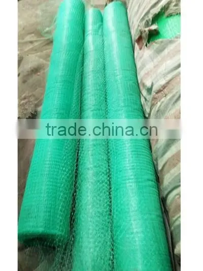 100% pp Plastic Grass Growing Net/Turf Growing Net photo-3