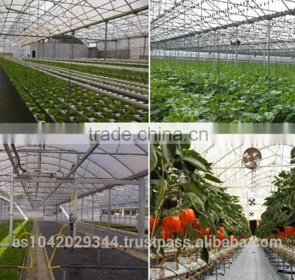 Seedling Planting Machine and Plant Nursery for Hydroponic Systems