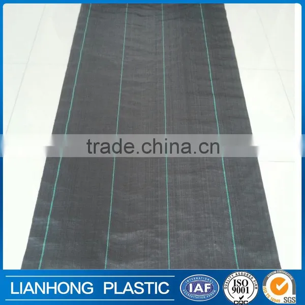 Agricultural pp Weed Mat Shipping From China photo-2