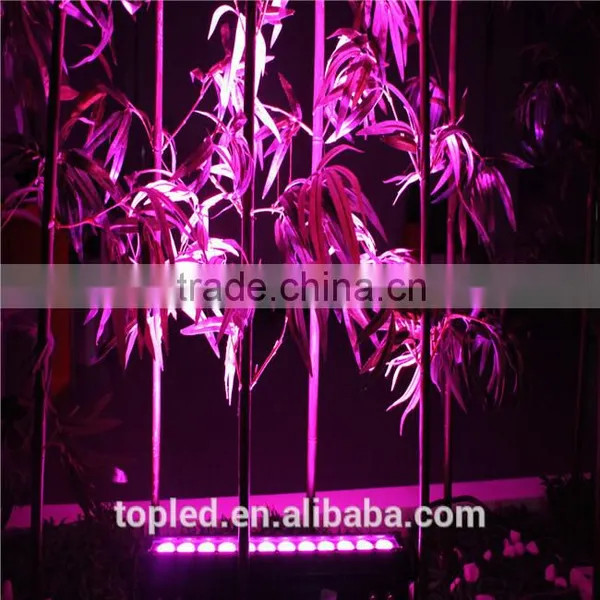 Outdoor Led Bar 0.5m Led Wall Washer IP66 for Outdoor Use photo-4