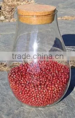 Glass Candy Holder photo-3