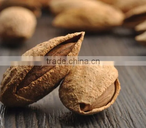Chinese Badam Almond in Shell With QS Standard photo-3