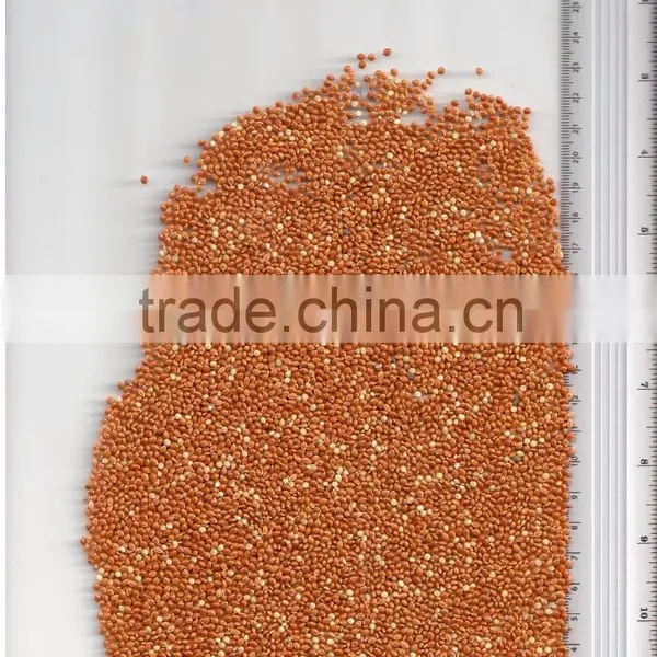 RED MILLET