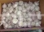 2013 Chinese Cheap Garlic