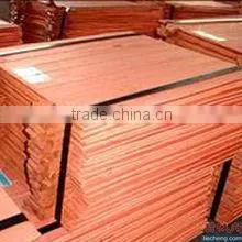 High Quality Copper Cathode Hot Sale (B54) photo-4