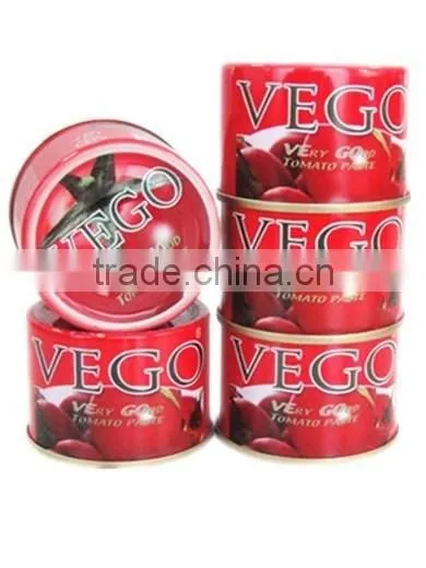 Tomato Paste Fresh for Sale photo-6