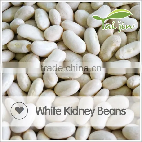 Foul Medames White Kidney Beans For Canning photo-3