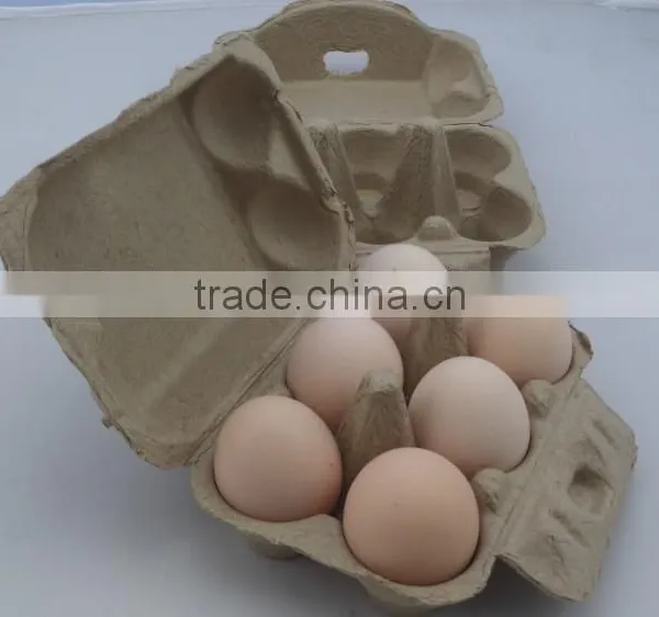 High Quality Customized Colored Egg Cartons Wholesale photo-3